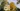 Bild1 D79K0031-web-1024x576