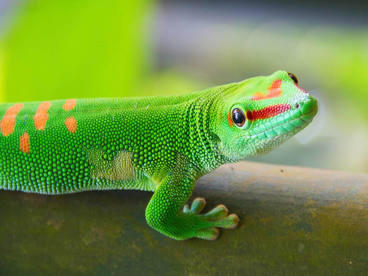 Bild3 Zoo-kleines-Bild