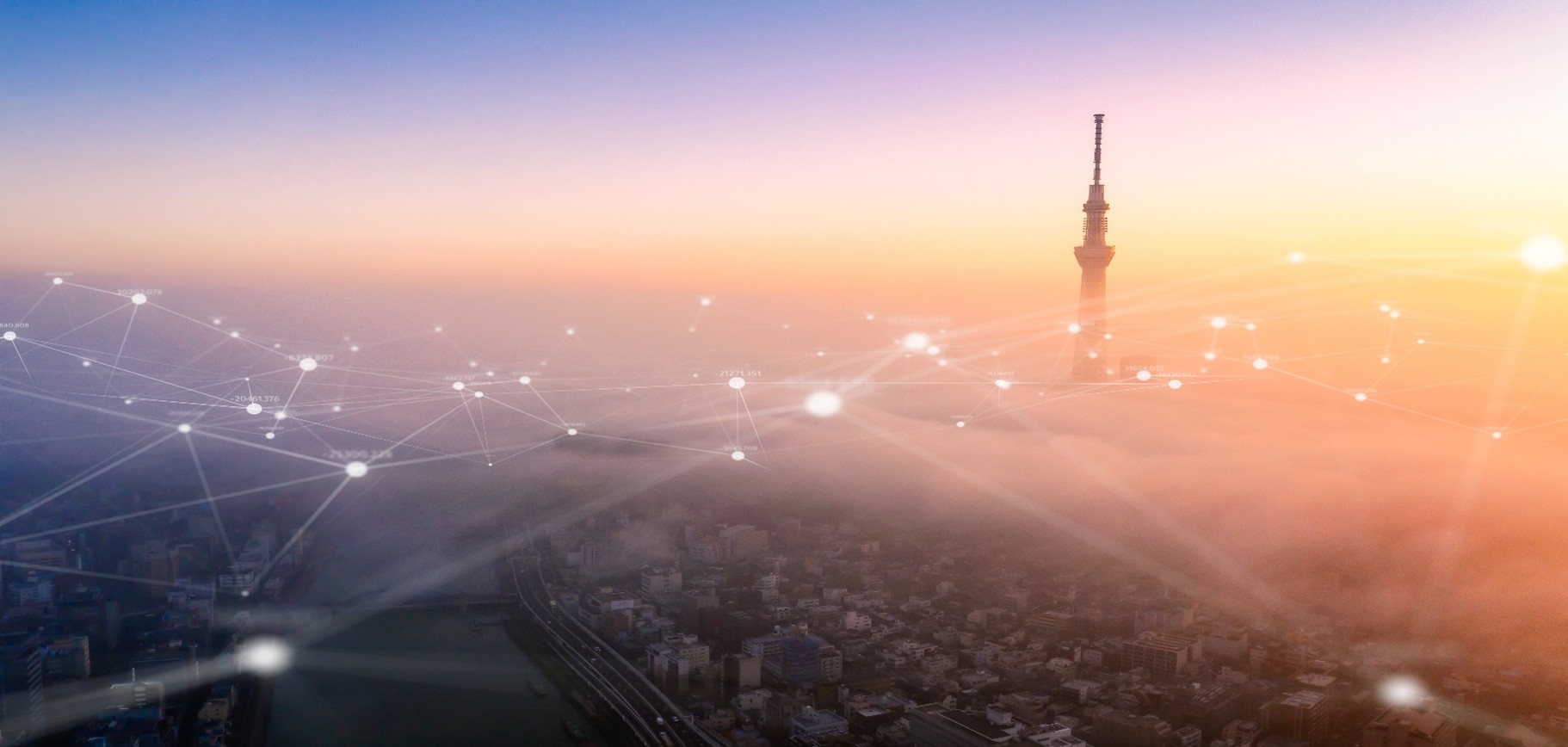 Screenshot eines Computers, der Software für Netzwerkmanagement zeigt.